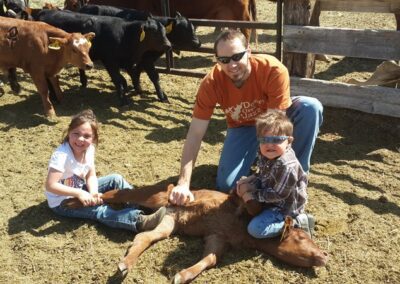 kids are playing in the cattle