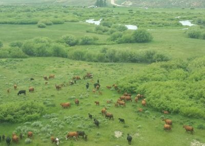 Lost Wells Cattle Company green sky view